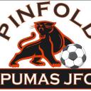 Pinfold Pumas JFC Icon