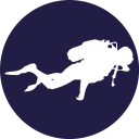 Scuba Diving Icon